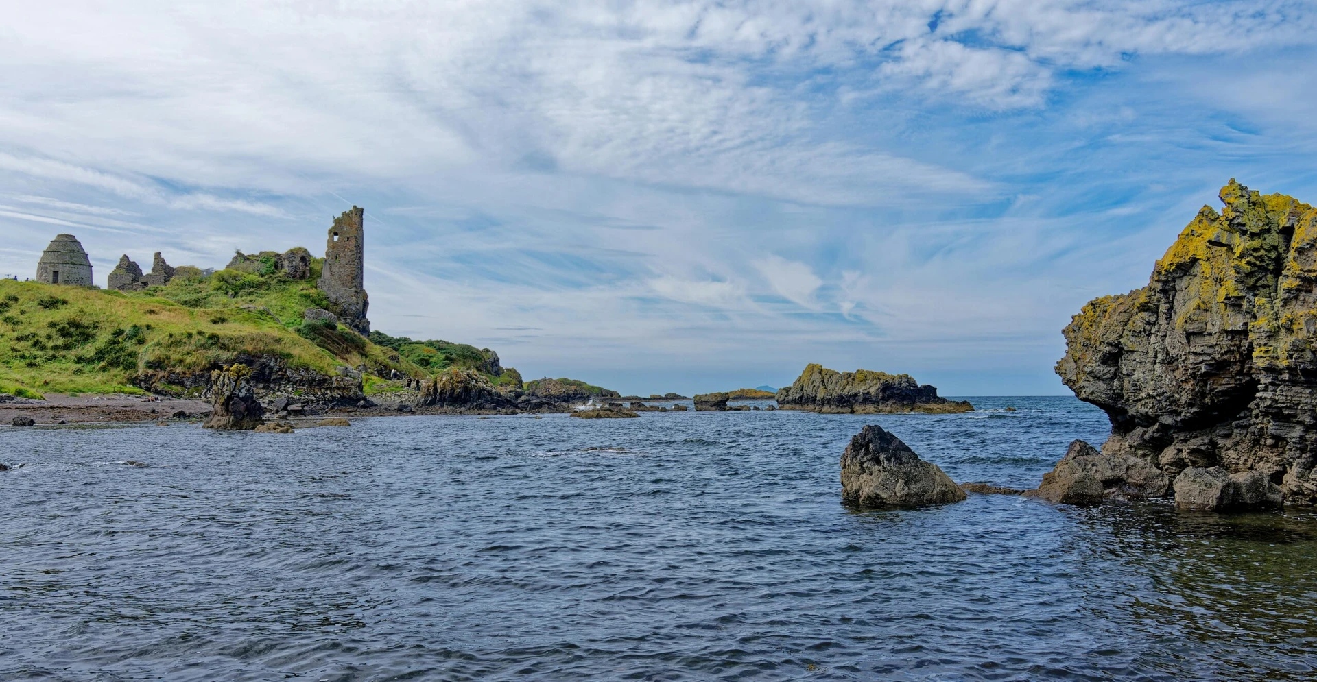 Ailsa Craig Ecological Clerk of Works