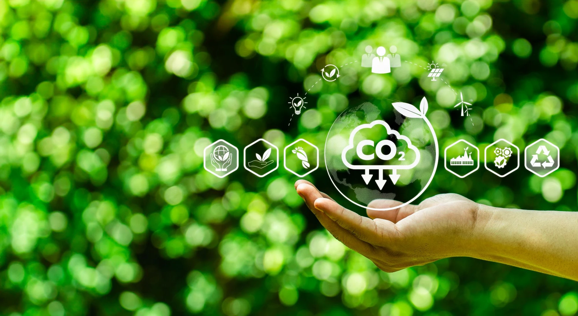 Carbon Reduction Plan 2