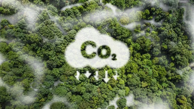 Carbon Reduction Plan