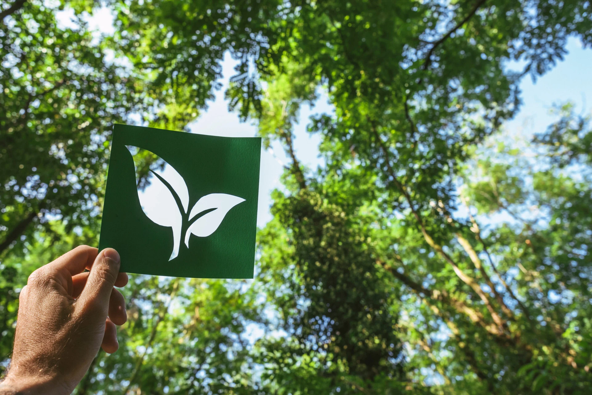 Environmental Product Declaration (EPD) Environmental Product Declaration (EPD)