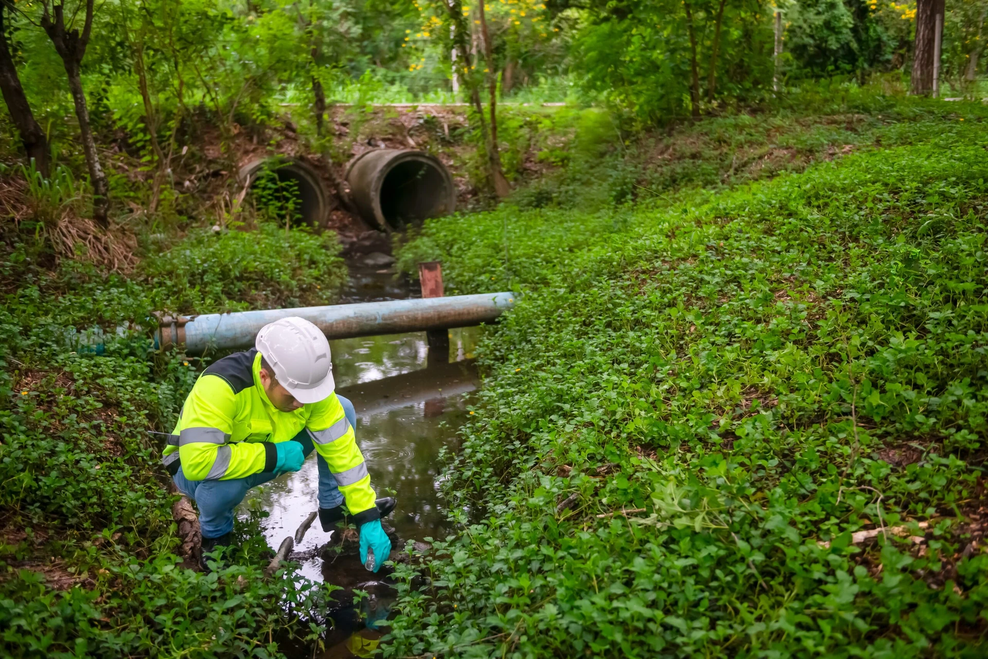 Construction Phase Ecology Support 