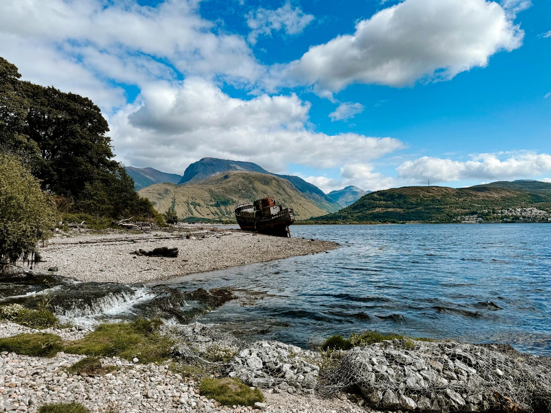 Ecology Surveys Rail