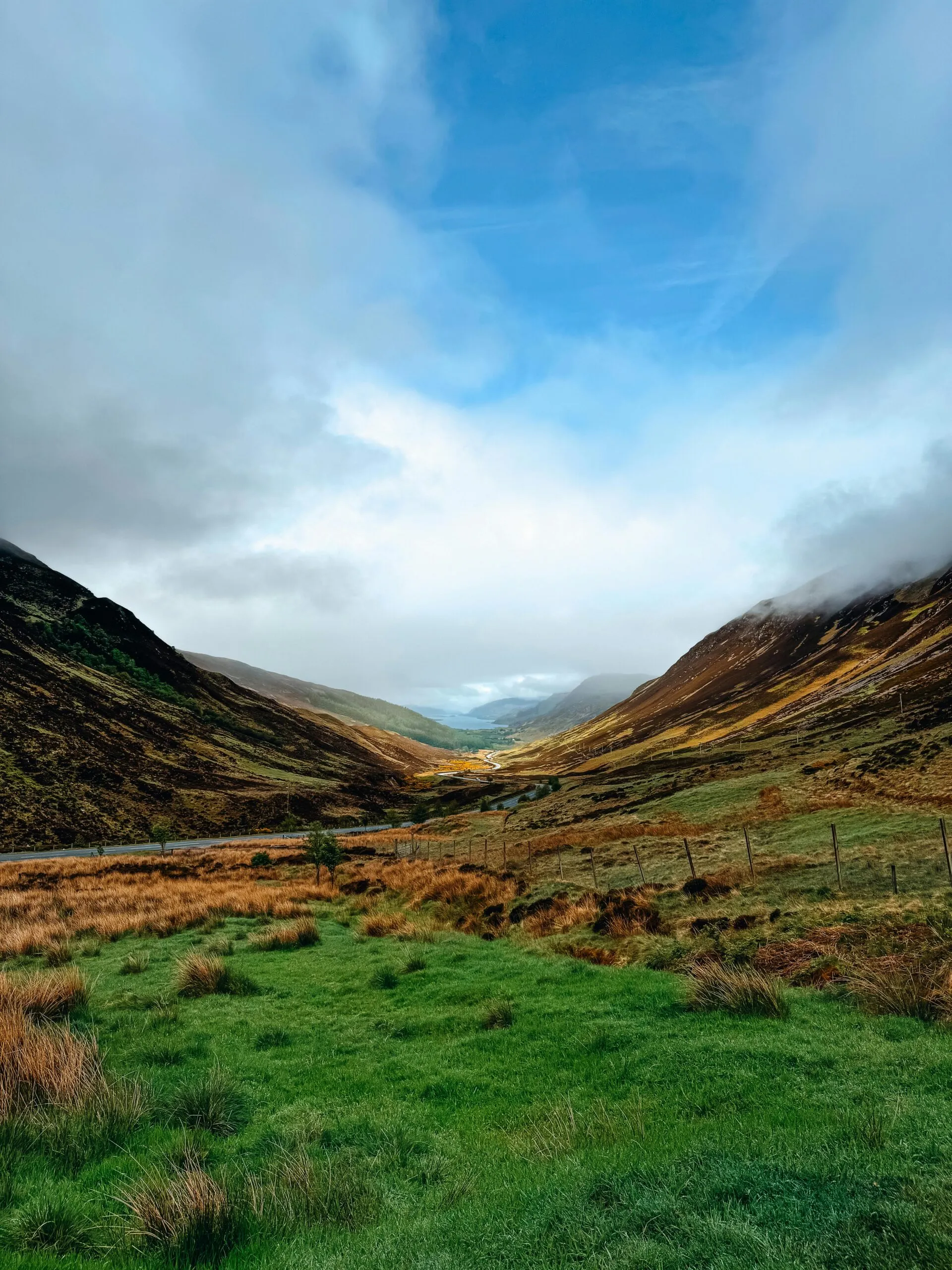 Ecology Consultants & Surveys