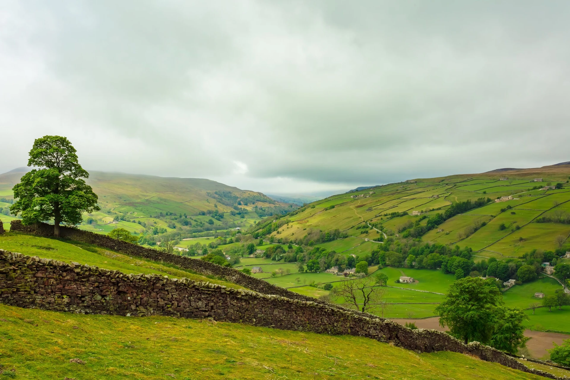 Habitat Management Plan