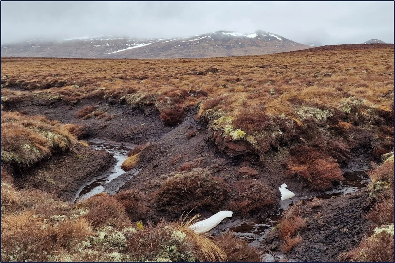 Peatland Overview