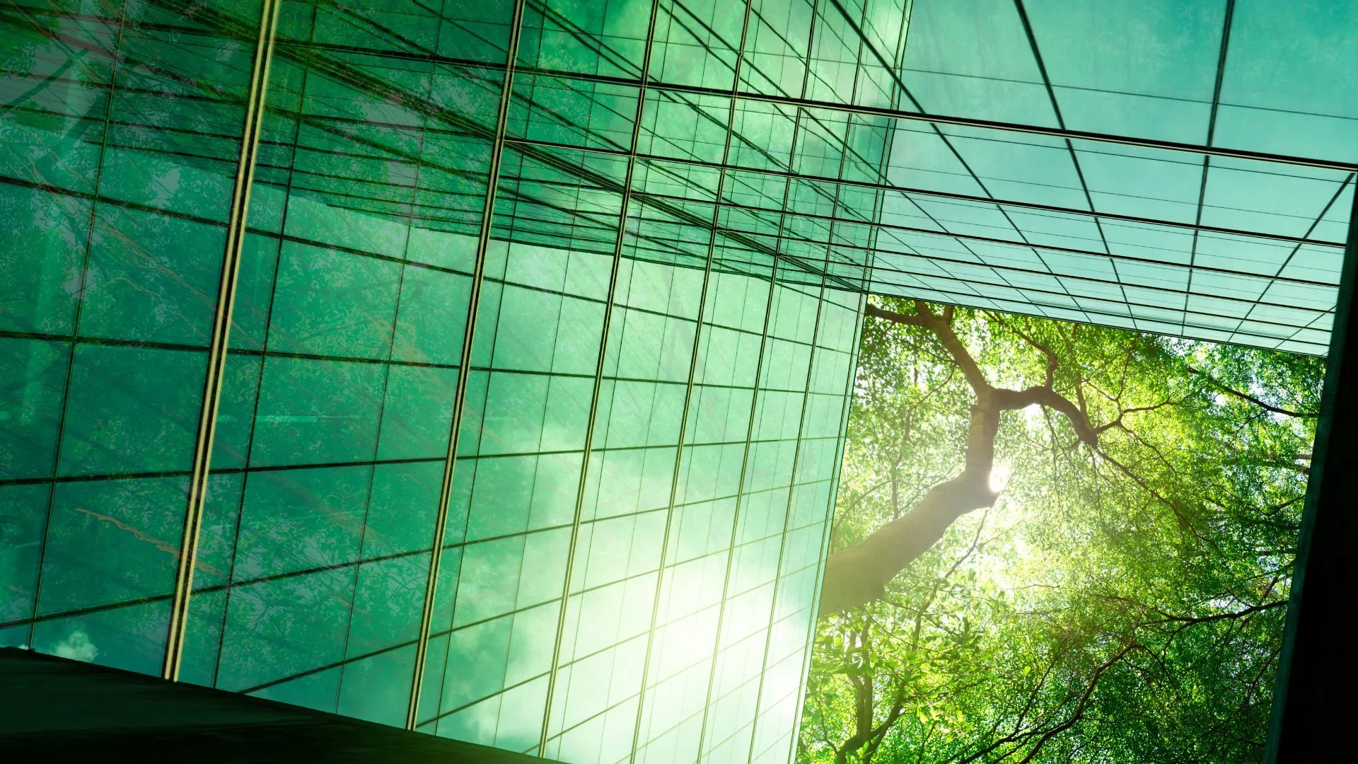 ISEP Certified Carbon Footprinting and Reporting 