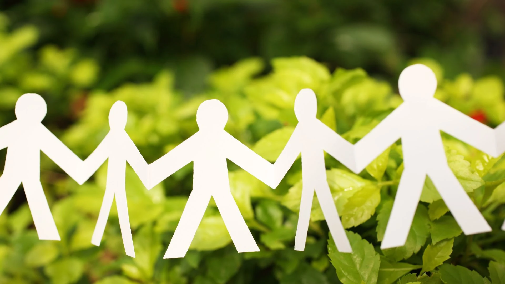 ISEP Foundation Certificate in Sustainability & Environmental Management