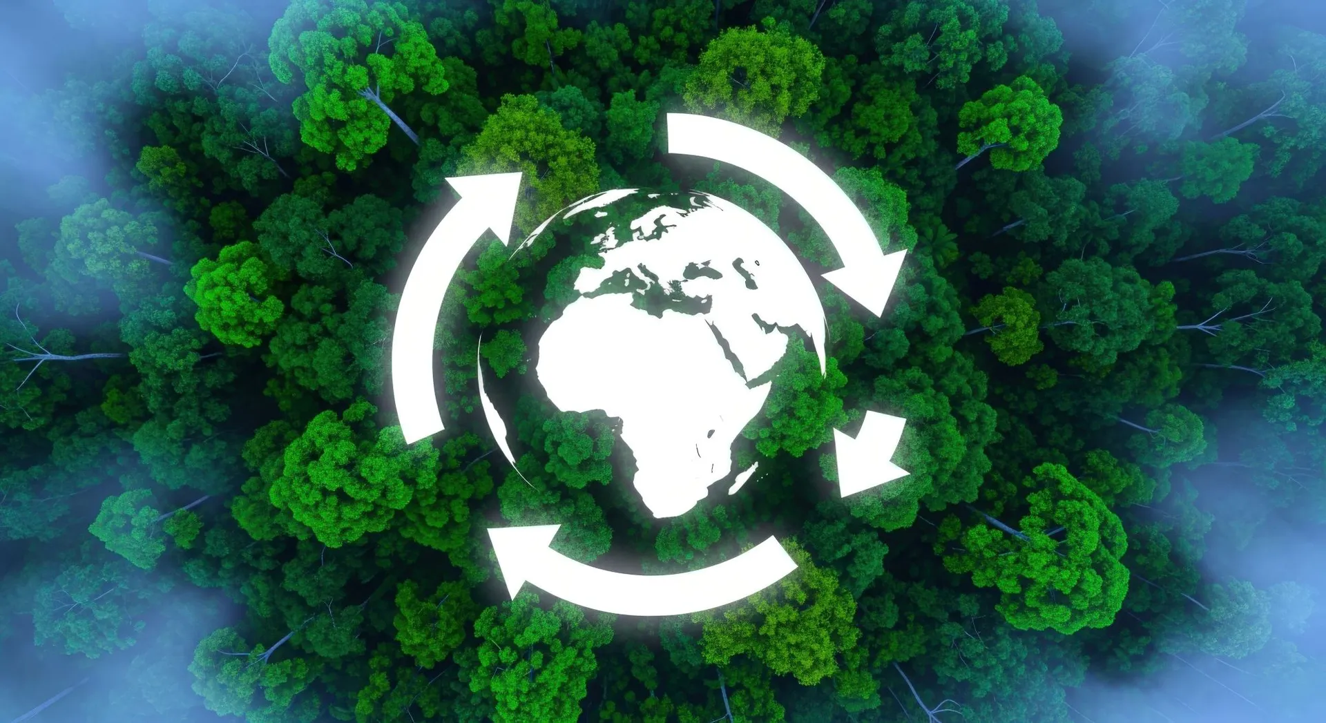 Lifecycle Assessment Consultancy