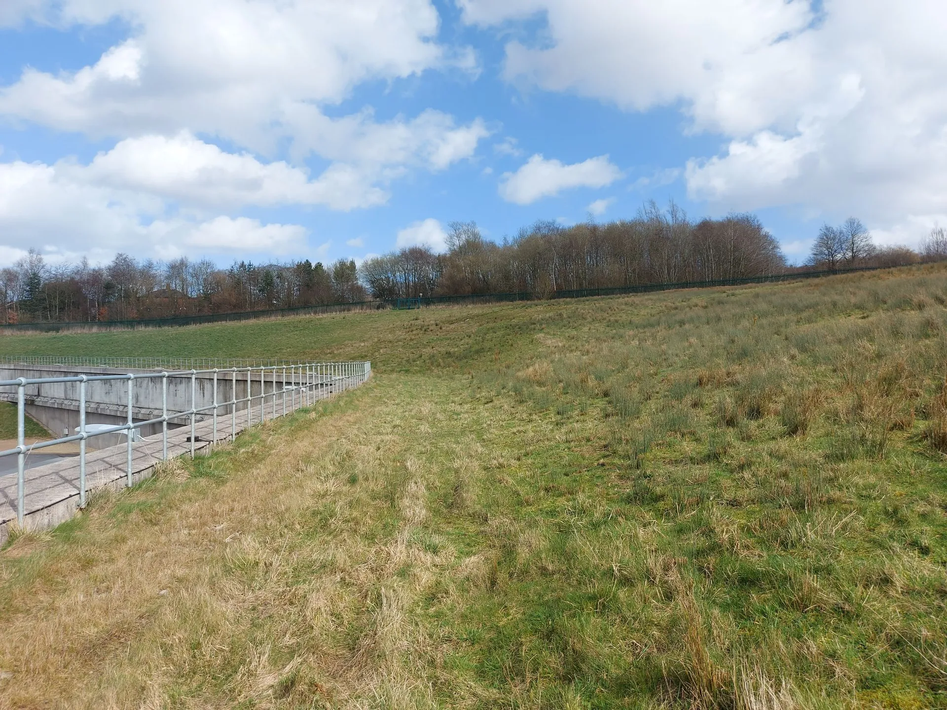 Carpenter's Solar Farm 5