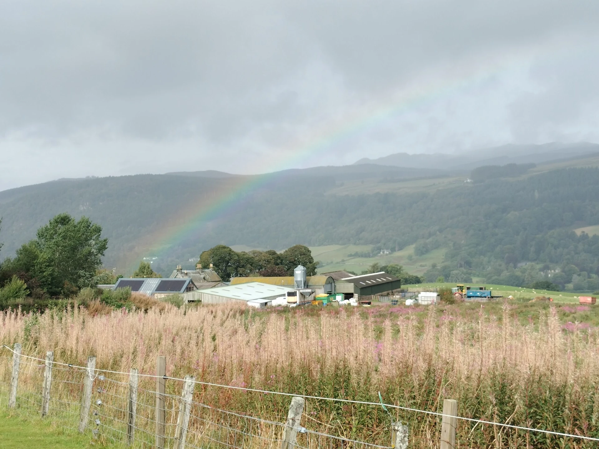 The Lost Stones Community Excavation