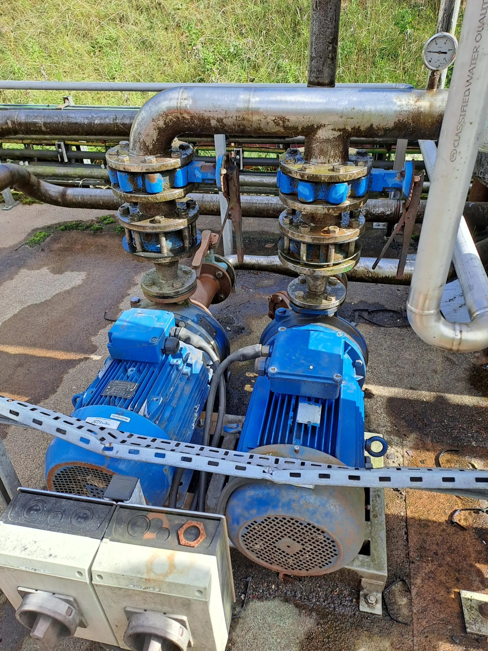 Assessing Electromagnetic Field Exposure in a Complex Drinks Production Facility